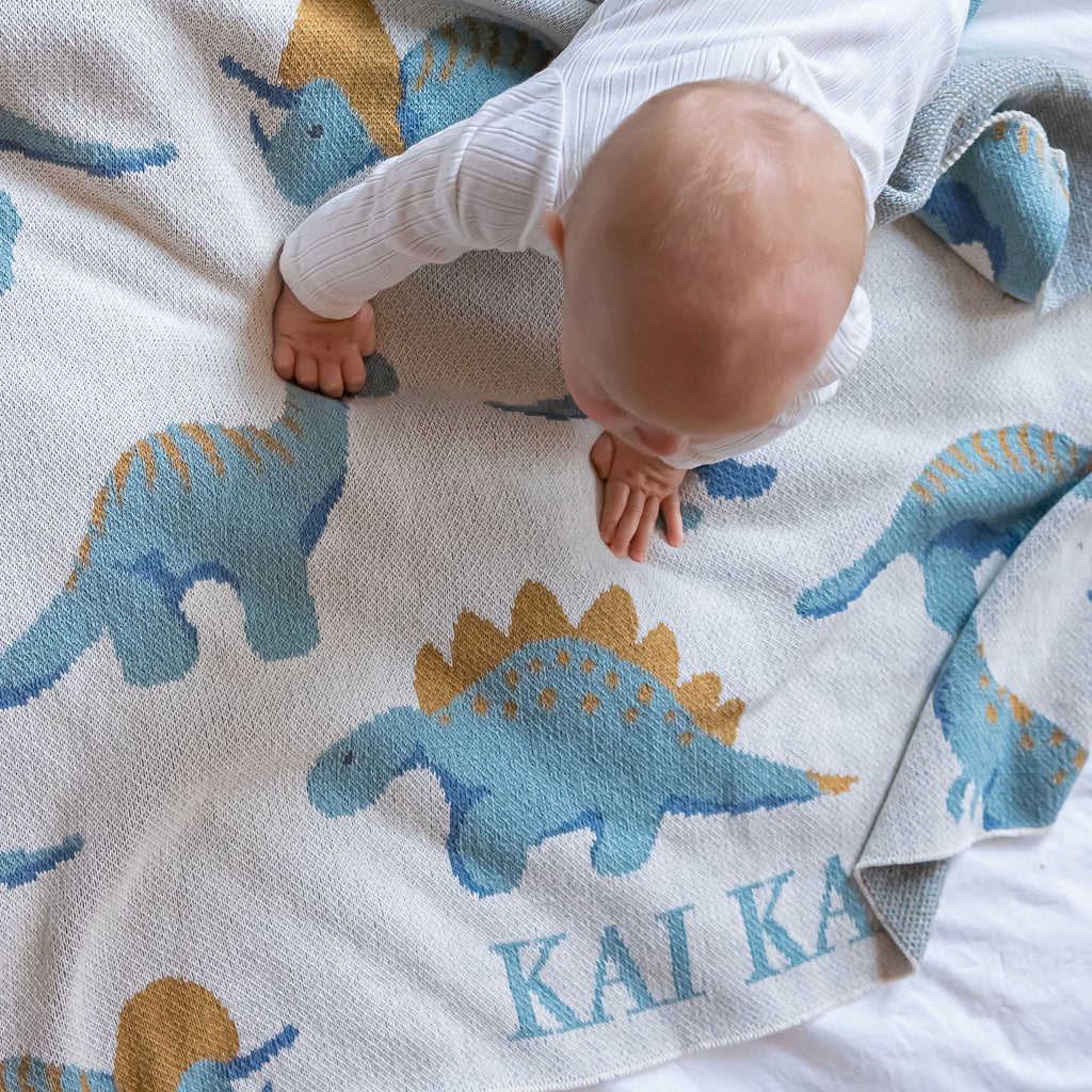 Baby Dinosaur Personalized Blanket