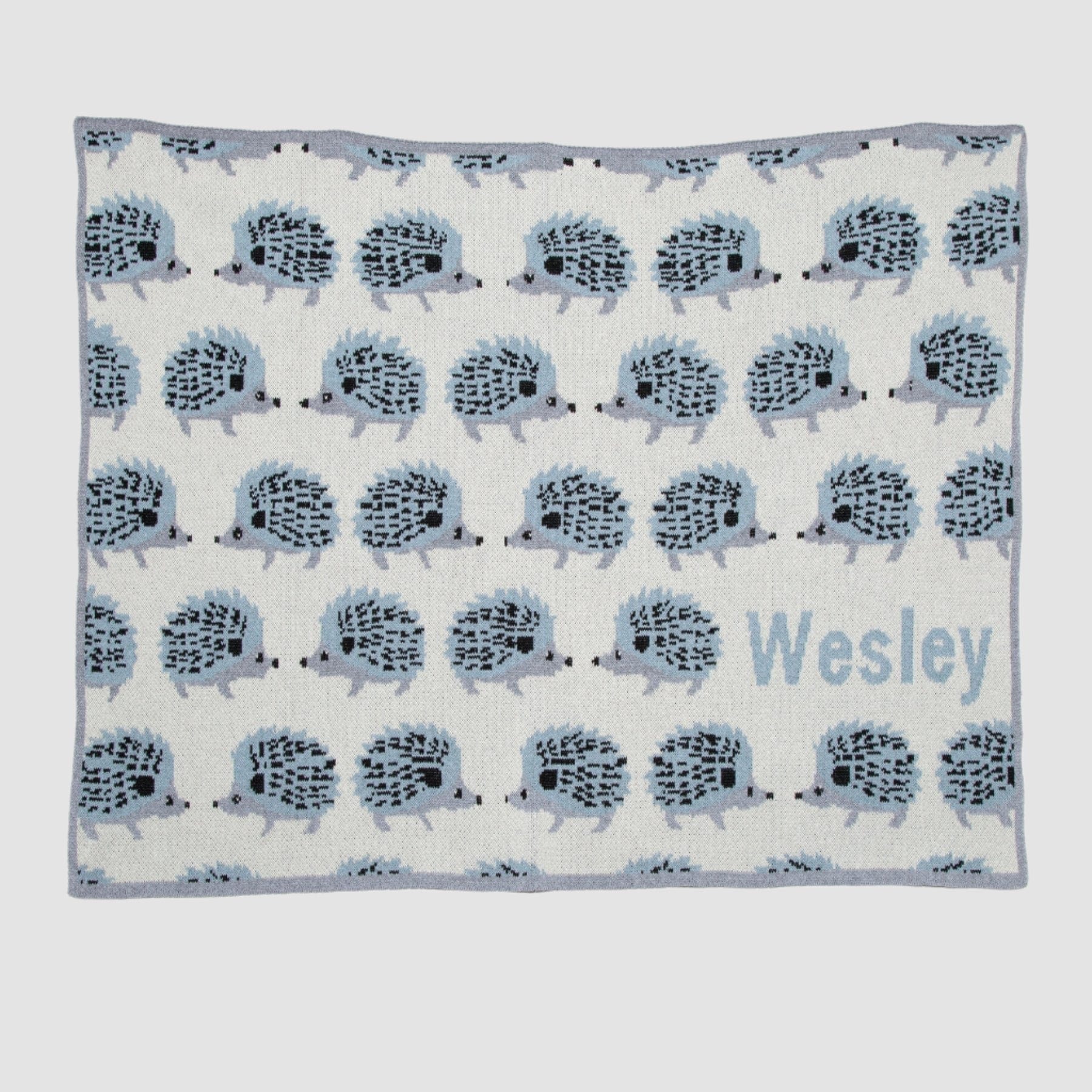 Baby Hedgehog Personalized Blanket CTM - BHG1