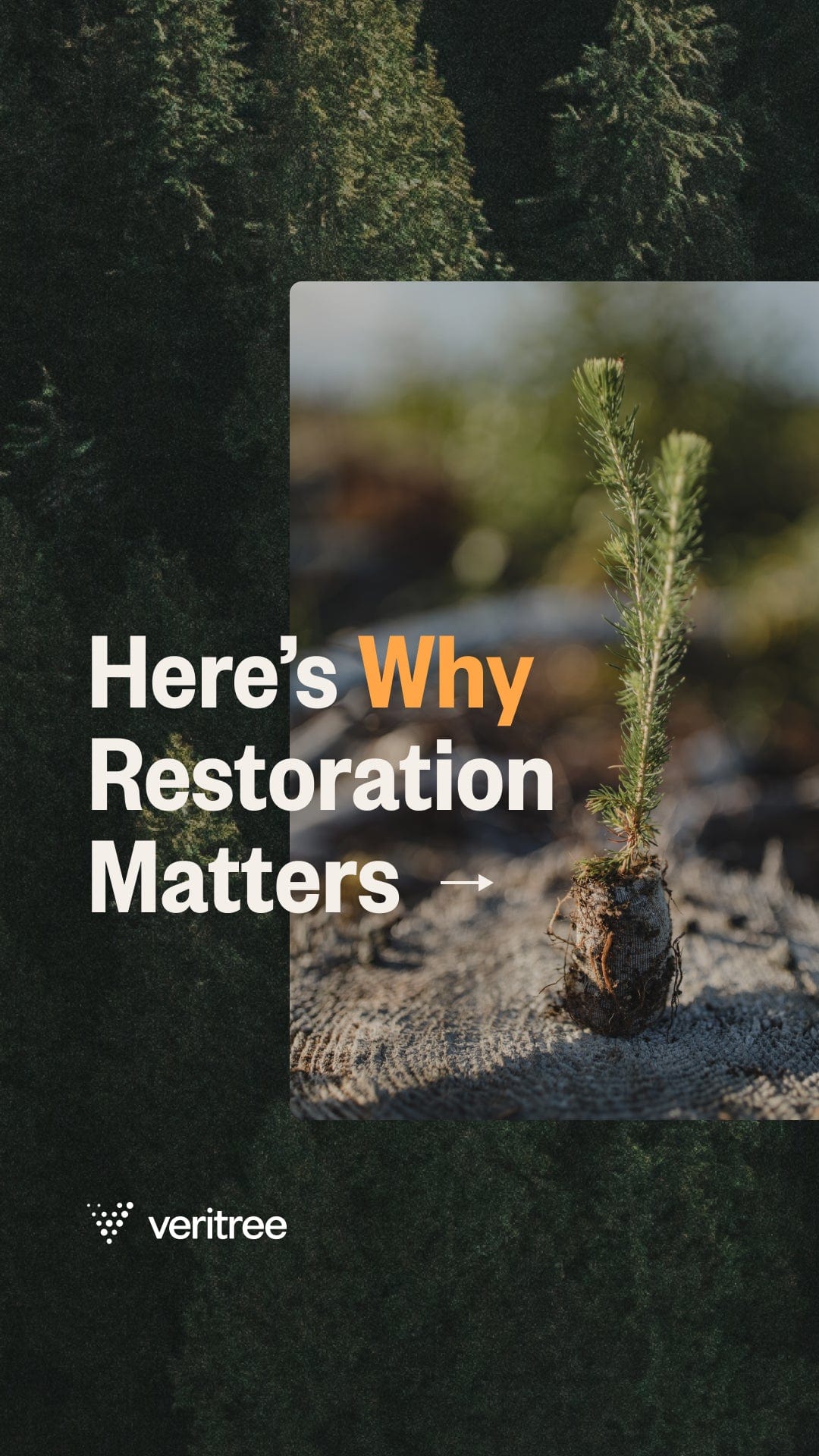 veritree_EarthMonth_RestorationMatters_1080x1920_01_FA.jpg