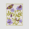 in2green Eco Baby Throws Baby Butterfly - Cotton Sustainable Knit Floral Blanket 601570195020 BB02BU1