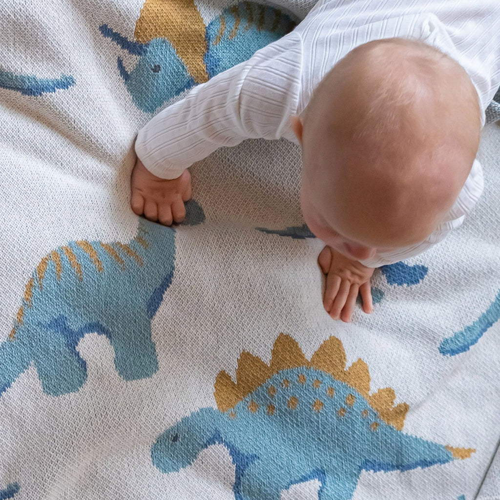 Baby Dinosaur Blanket