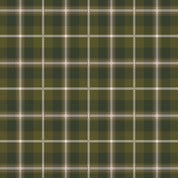 In2Green Swatch Hospitality Cabin Plaid