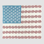 in2green Eco Throw Coastal Flag  - Cotton Sustainable Knit Flag/Americana Throw Blanket 601570195129 BL01CAF1