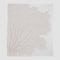 in2green Eco Throw Cotton Sustainable Knit Throw Blanket | Coastal - Fan Coral 601570193620 BL01FC3