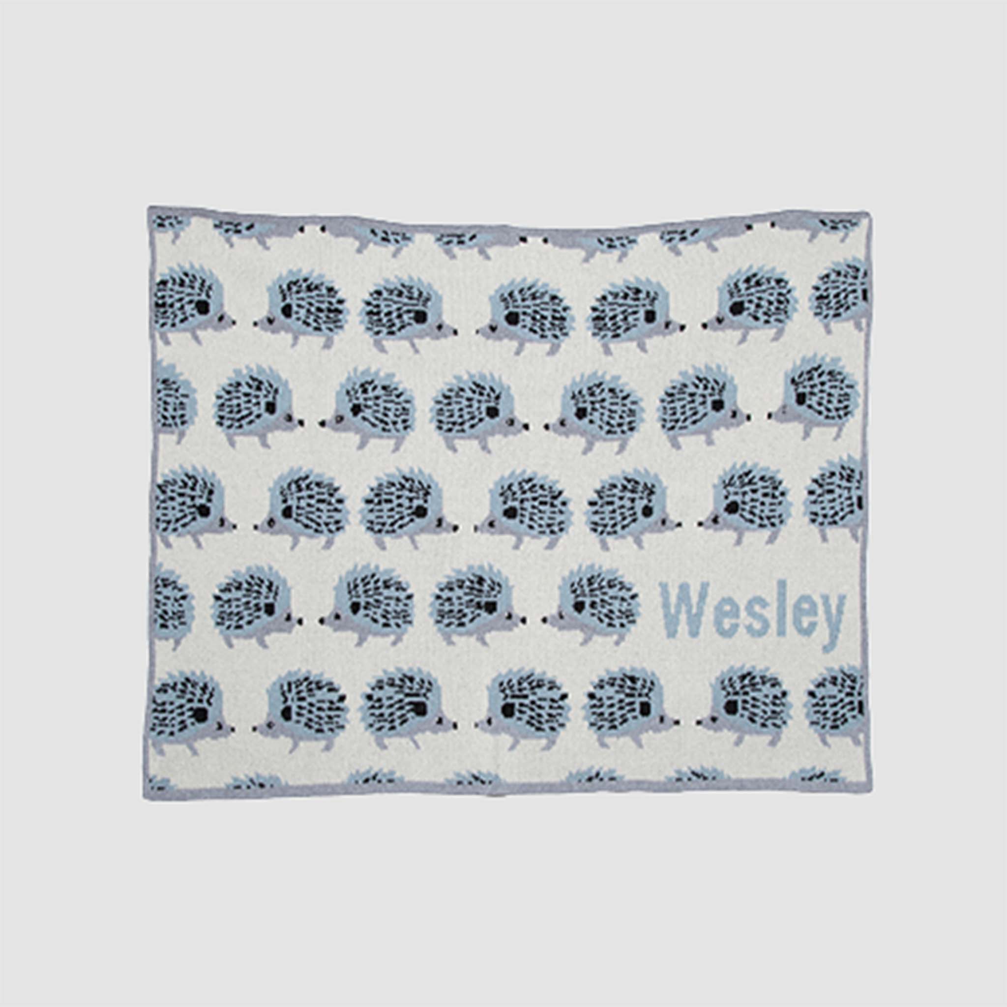 PersonalizedBabyHedgehogBlue_a68ae7a2-751f-46eb-9cd9-bc9f684ebade.jpg