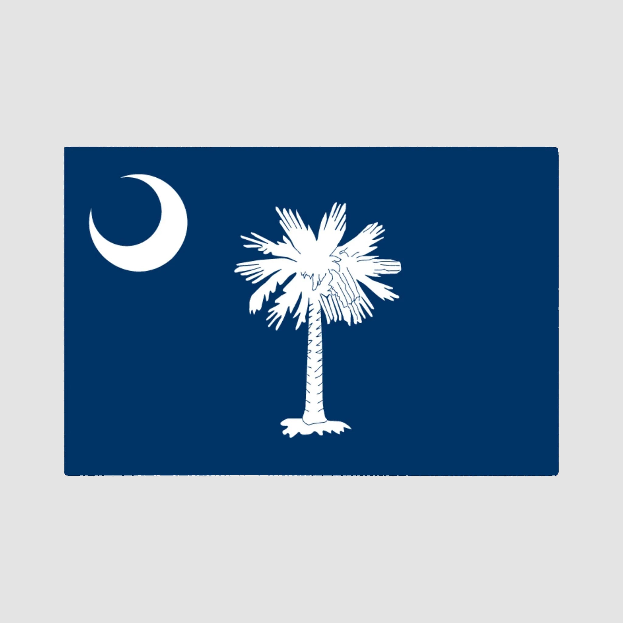 The “Hometown Pride Flag - Cotton Sustainable Knit Blanket” by in2green features a blue background with a white palmetto tree at the center and a white crescent moon in the upper left corner, beautifully crafted as a custom, American-made blanket.
