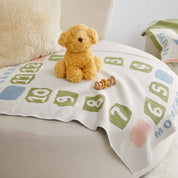 Baby Block Milestone Personalized Blanket CTM - BBM2