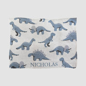 Baby Dinosaur Personalized Blanket CTM - BDN2