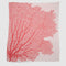 The in2green Fan Coral Throw Blanket features a light pink fabric with a bold red coral branch design—ideal for adding coastal style to beach houses or as a chic accent piece.
