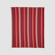 Mod Stripes Throw Blanket BL01MST4