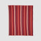 Mod Stripes Throw Blanket BL01MST4