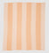 Poly Herringbone Stripe Throw Blanket POLY - HBS - 13