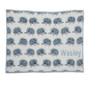 Baby Hedgehog Personalized Throw